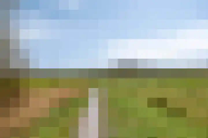 Mispeleind 1 Lage Mierde thumbnail 70