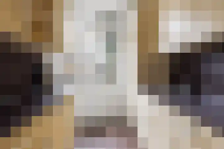 Mispelstraat 5 Dorst thumbnail 11