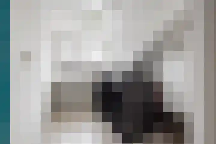 Mispelstraat 5 Dorst thumbnail 19