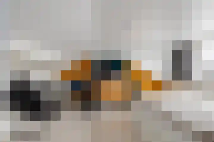Mispelstraat 5 Dorst thumbnail 20