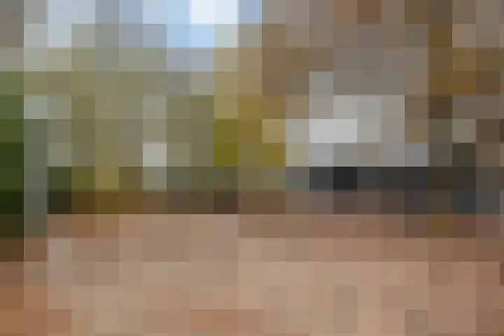 Mispelstraat 5 Dorst thumbnail 24
