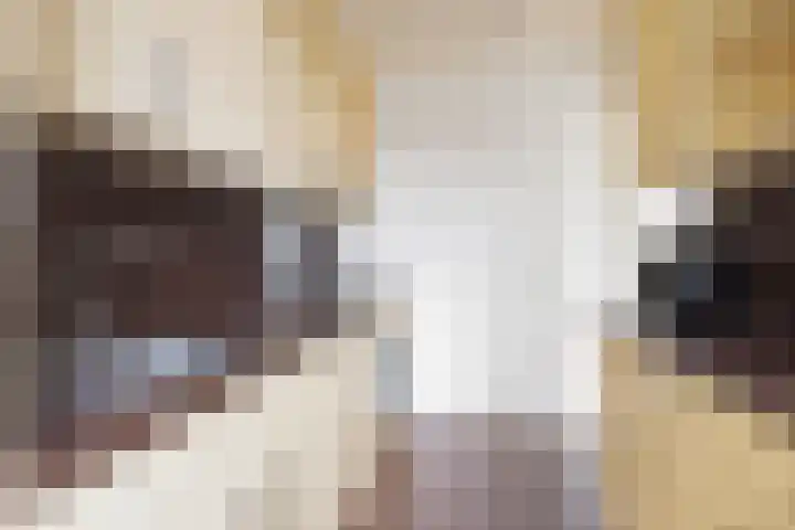 Mispelstraat 5 Dorst foto 3