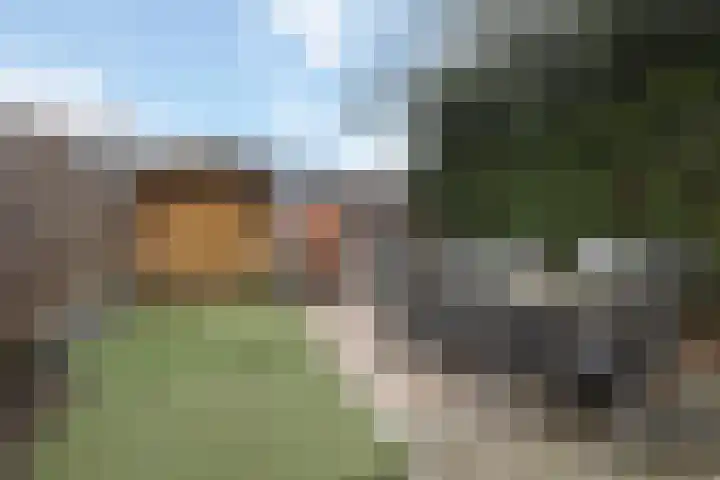 Mispelstraat 5 Dorst thumbnail 5