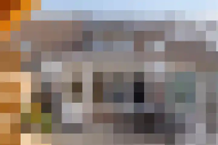 Misse 7 Gemert thumbnail 29