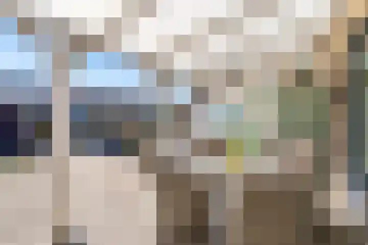 Mistral 19 Zeewolde thumbnail 33