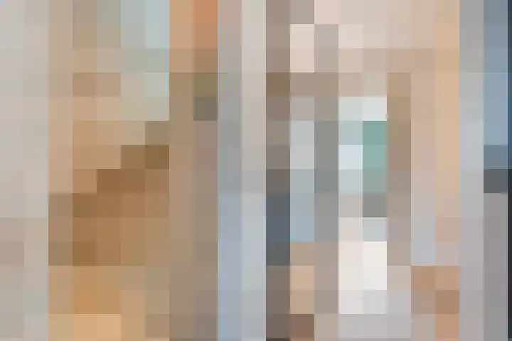 Mittendorffwerf 10 Dedemsvaart thumbnail 11