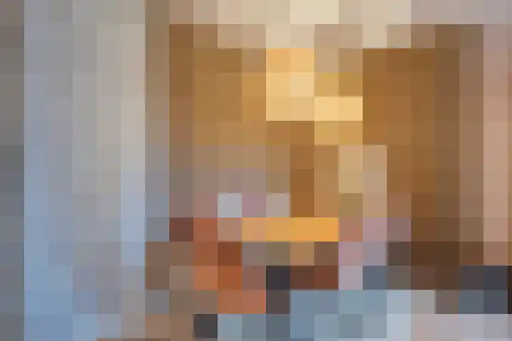 Mittendorffwerf 10 Dedemsvaart thumbnail 12