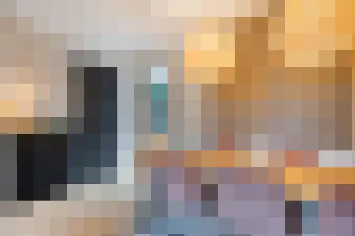 Mittendorffwerf 10 Dedemsvaart thumbnail 13