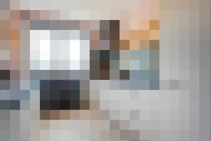 Mittendorffwerf 10 Dedemsvaart thumbnail 14