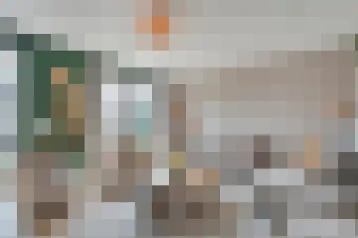 Mittendorffwerf 10 Dedemsvaart thumbnail 17