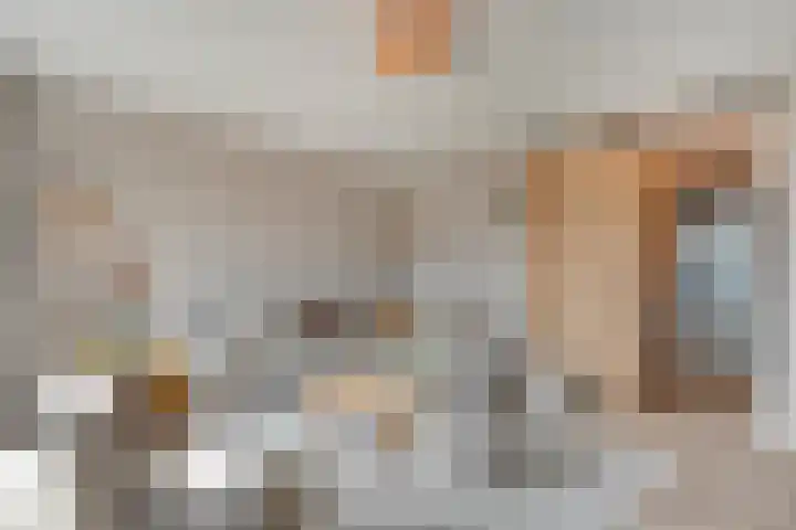 Mittendorffwerf 10 Dedemsvaart thumbnail 18