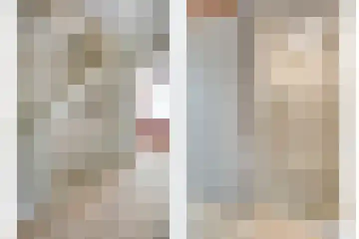 Mittendorffwerf 10 Dedemsvaart thumbnail 21