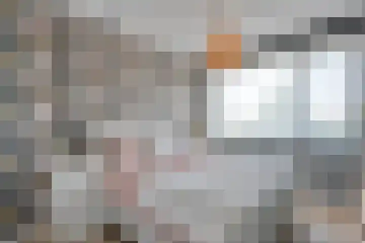 Mittendorffwerf 10 Dedemsvaart thumbnail 22