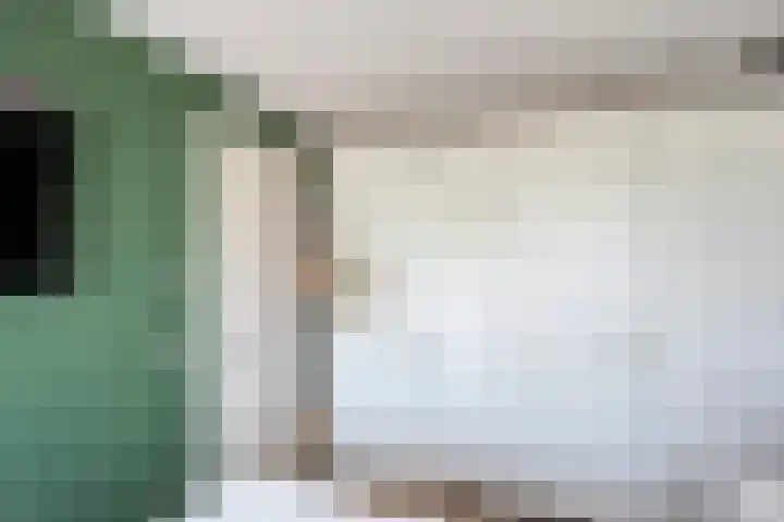 Mittendorffwerf 10 Dedemsvaart thumbnail 23