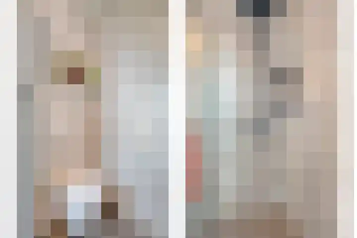 Mittendorffwerf 10 Dedemsvaart thumbnail 30