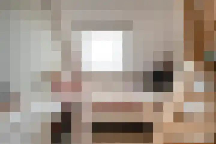 Mittendorffwerf 10 Dedemsvaart thumbnail 34