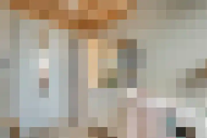 Mittendorffwerf 10 Dedemsvaart thumbnail 35