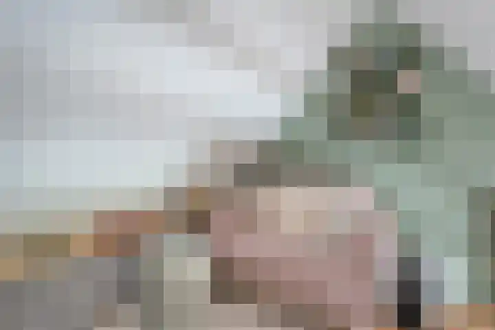 Mittendorffwerf 10 Dedemsvaart thumbnail 36