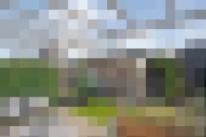 Mittendorffwerf 10 Dedemsvaart thumbnail 37