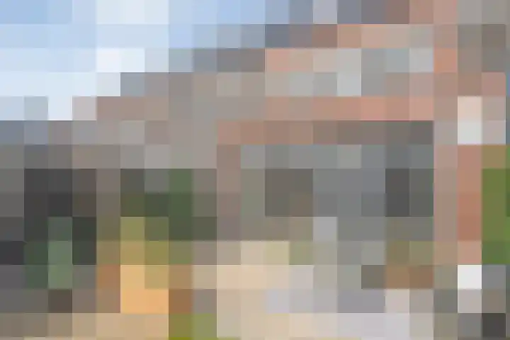 Mittendorffwerf 10 Dedemsvaart thumbnail 42