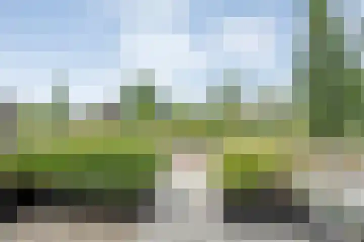 Mittendorffwerf 10 Dedemsvaart thumbnail 5