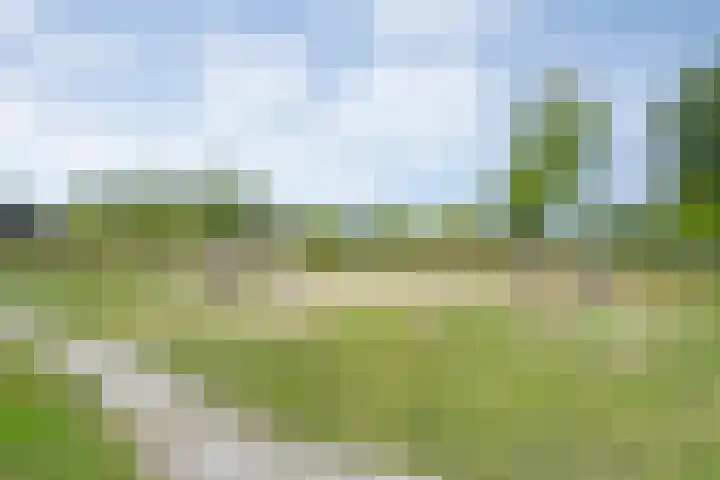 Mittendorffwerf 10 Dedemsvaart thumbnail 8