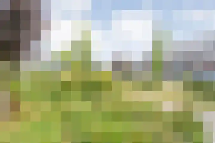 Mittendorffwerf 10 Dedemsvaart thumbnail 9