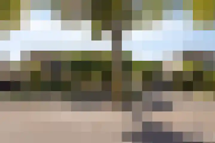 Moddermanstraat 9 Oss