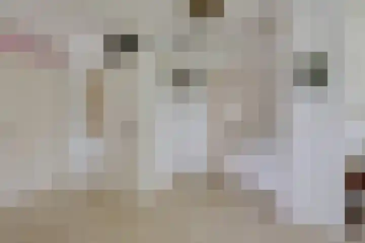 Moeckenkamp 13 De Steeg thumbnail 12