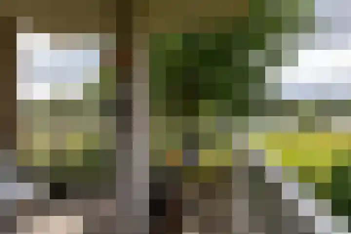 Moeckenkamp 13 De Steeg thumbnail 17
