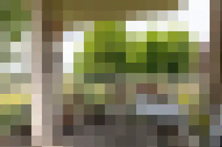 Moeckenkamp 13 De Steeg thumbnail 18