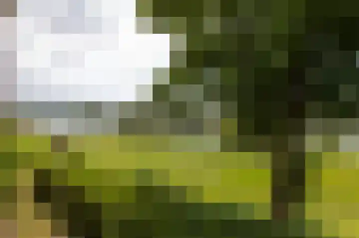 Moeckenkamp 13 De Steeg thumbnail 19