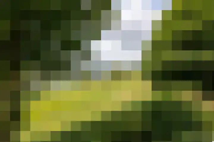 Moeckenkamp 13 De Steeg thumbnail 20