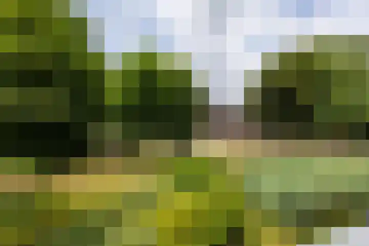 Moeckenkamp 13 De Steeg thumbnail 21