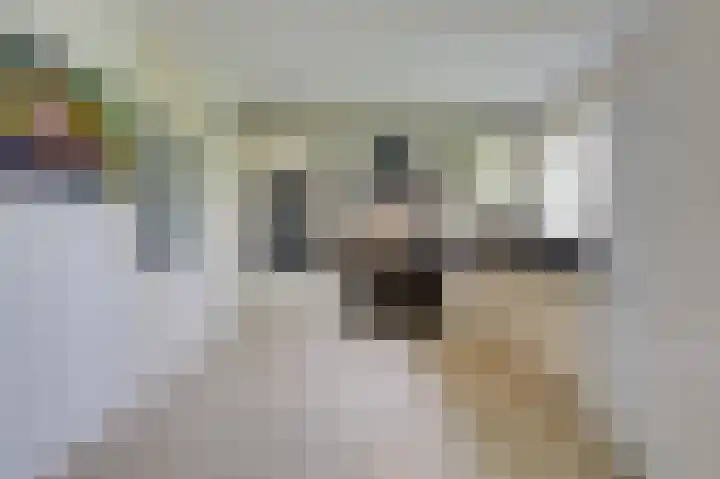 Moeckenkamp 13 De Steeg thumbnail 23
