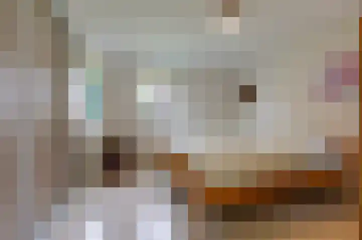 Moeckenkamp 13 De Steeg thumbnail 30