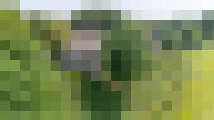 Moeckenkamp 13 De Steeg thumbnail 36