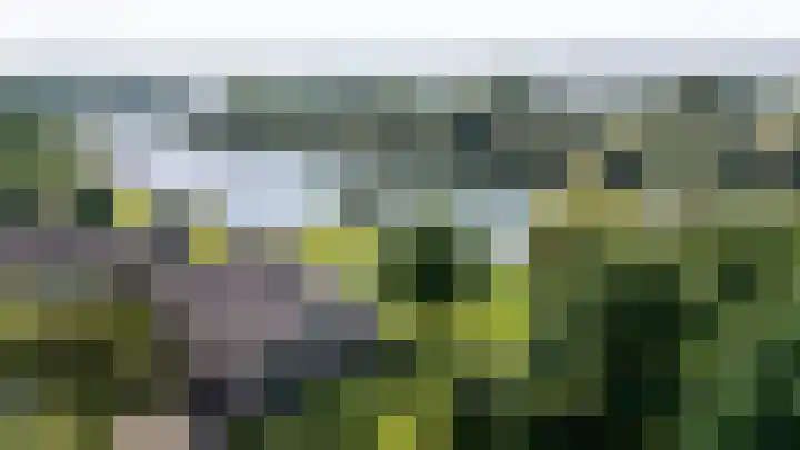 Moeckenkamp 13 De Steeg thumbnail 37