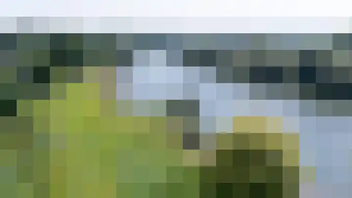 Moeckenkamp 13 De Steeg thumbnail 38