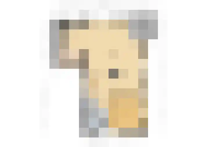 Moeckenkamp 13 De Steeg thumbnail 39