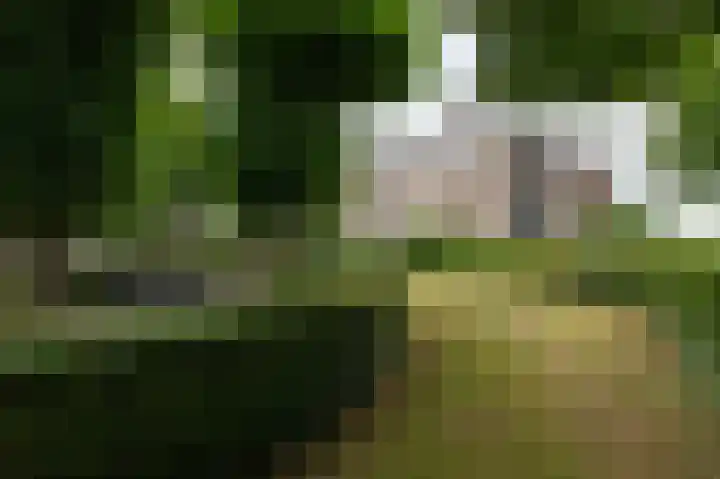 Moeckenkamp 13 De Steeg thumbnail 6