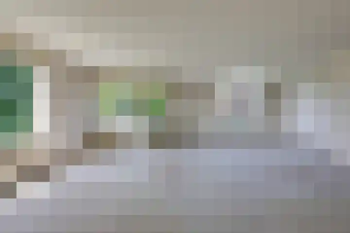 Moeckenkamp 14 De Steeg thumbnail 15