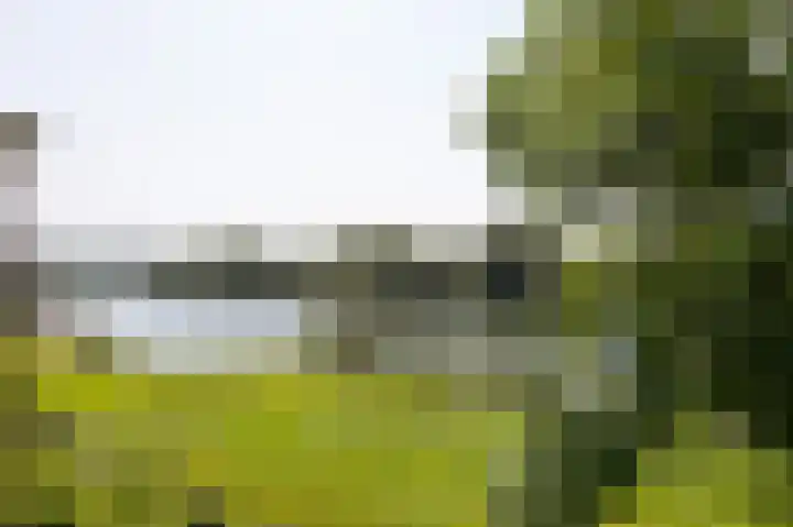 Moeckenkamp 14 De Steeg thumbnail 18