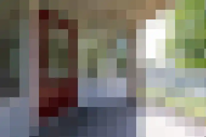 Moeckenkamp 14 De Steeg thumbnail 20