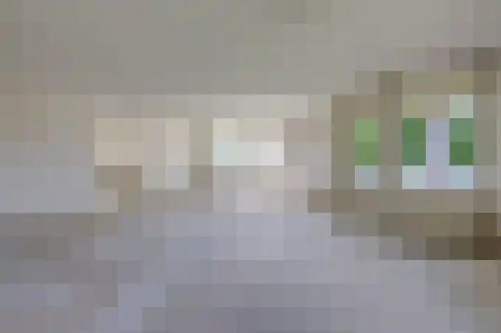 Moeckenkamp 14 De Steeg thumbnail 21
