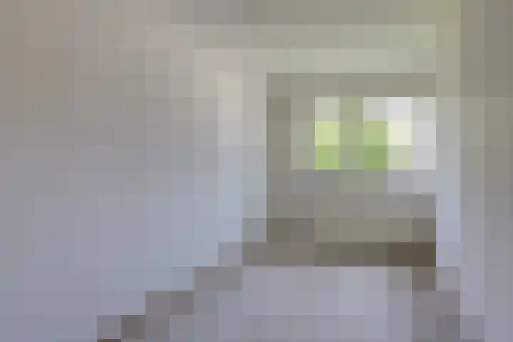 Moeckenkamp 14 De Steeg thumbnail 28
