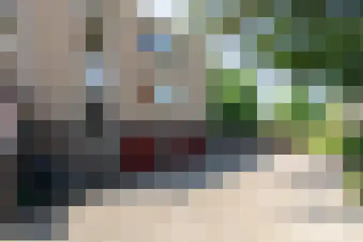 Moeckenkamp 14 De Steeg thumbnail 32