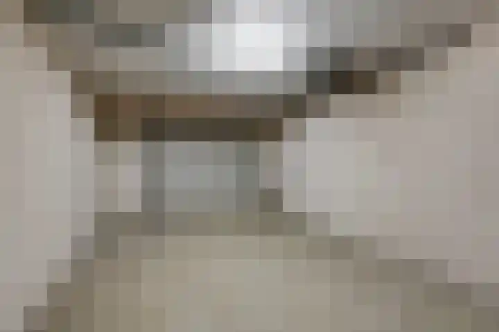 Moeckenkamp 14 De Steeg thumbnail 33