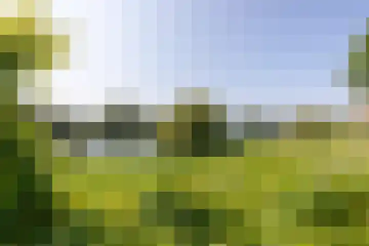 Moeckenkamp 14 De Steeg thumbnail 34
