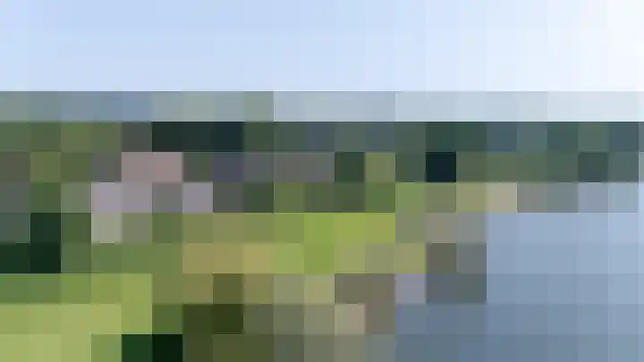Moeckenkamp 14 De Steeg thumbnail 35